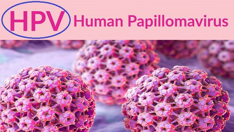 مرض الثأليل الجنسية ، فيروس الورم الحليمي البشري HPV هلال